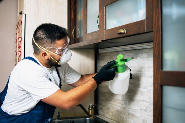 Best Pest Prevention Services  in Forest City, IA
