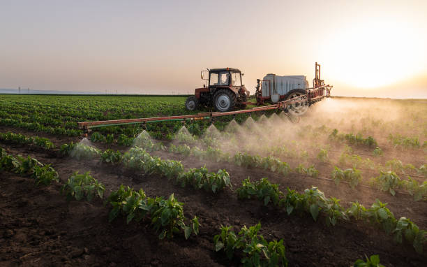 Insect Control in Forest City, IA