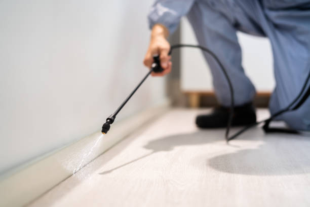 Best Emergency Pest Control  in Forest City, IA