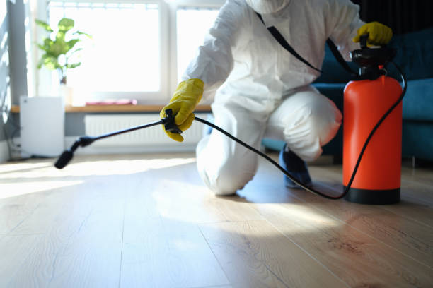 Best Residential Pest Control  in Forest City, IA