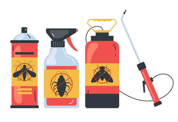 Best Ant Control Services  in Forest City, IA