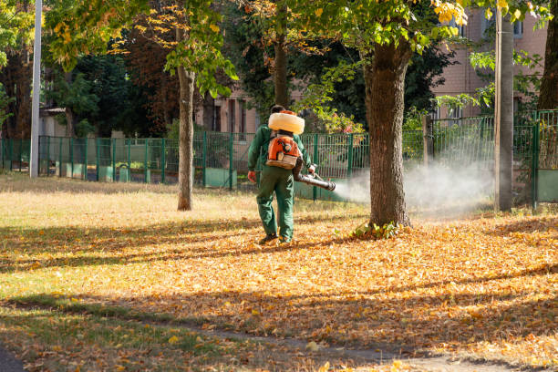Best Mosquito Control Services  in Forest City, IA