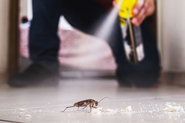 Pest Control for Restaurants in Forest City, IA