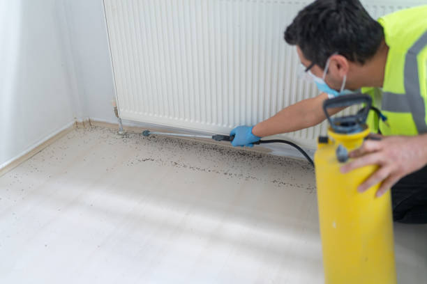 Best Best Pest Control Companies  in Forest City, IA
