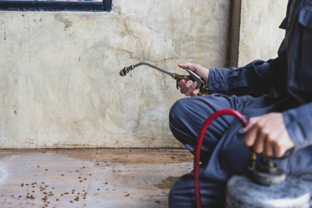 Best Rat Extermination Near Me  in Forest City, IA